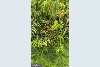 1069 Chews Landing, Laurel Springs, NJ 08021 - Photo 36