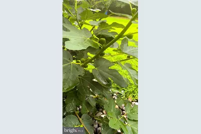 1069 Chews Landing, Laurel Springs, NJ 08021 - Photo 40