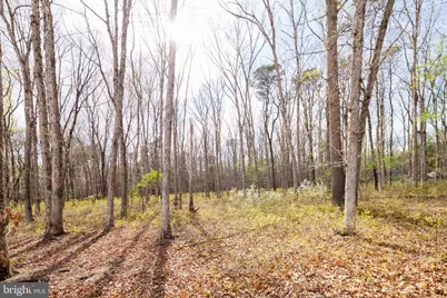 503 Hay Road, Hammonton, NJ 08037 - Photo 52