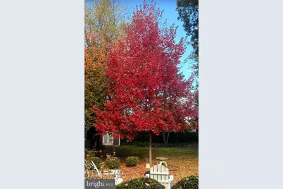 409 W Kings Highway, Audubon, NJ 08106 - Photo 26