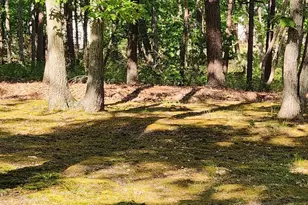 79 Skyline Dr, Sicklerville, NJ 08081 - Photo 6