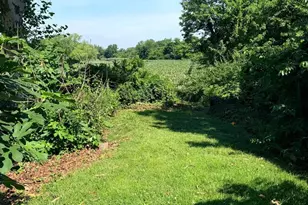 503 Chestnut St, Brooklawn, NJ 08030 - Photo 16