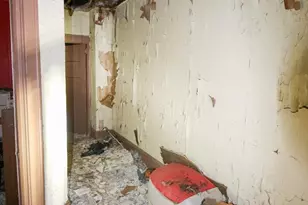 1231 Langham Ave, Camden, NJ 08103 - Photo 8