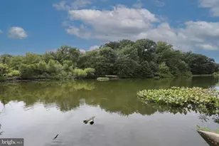 1137 Lakeshore Dr, Haddon Township, NJ 08108 - Photo 28