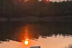 515 Corson Tavern, Ocean View, NJ 08230 - Photo 18