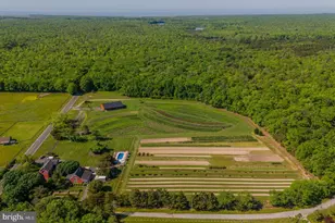 550 Hands Mill Rd, Woodbine, NJ 08270 - Photo 1