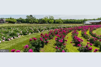 550 Hands Mill Road, Woodbine, NJ 08270 - Photo 18