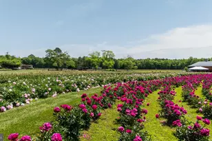 550 Hands Mill Rd, Woodbine, NJ 08270 - Photo 18