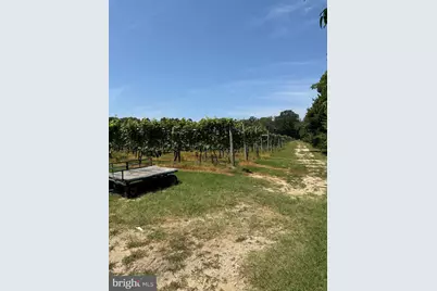 221 N Delsea Drive, Cape May, NJ 08210 - Photo 34