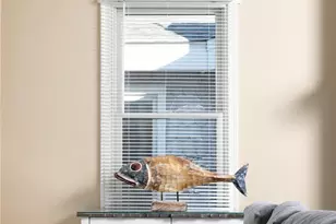 4923 Central Ave, Ocean City, NJ 08226 - Photo 16