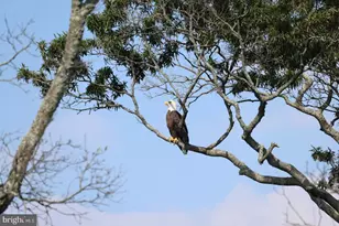 1300 Millman Blvd, Del Haven, NJ 08251 - Photo 32