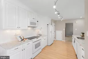 10033 Corinthian Dr, Stone Harbor, NJ 08247 - Photo 6