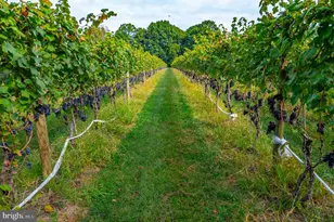 380 Heritage Rd, Sewell, NJ 08080 - Photo 56