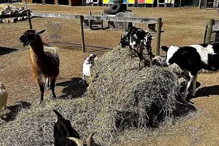 122 124 & 126 Salina Rd, Sewell, NJ 08080 - Photo 22