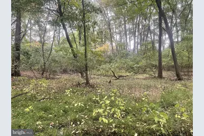 465 Tomlin Station Road, Harrison Township, NJ 08062 - Photo 12