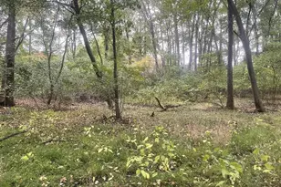 465 Tomlin Station Rd, Harrison Township, NJ 08062 - Photo 12