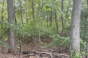 465 Tomlin Station Rd, Harrison Township, NJ 08062 - Photo 22