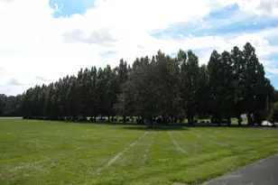 1445 Catawba Ave, Newfield, NJ 08344 - Photo 46