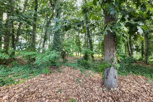 63 Cranford Rd, Washington Township, NJ 08012 - Photo 12