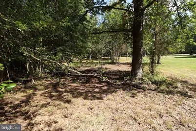 291 Union Street, Glassboro, NJ 08028 - Photo 48