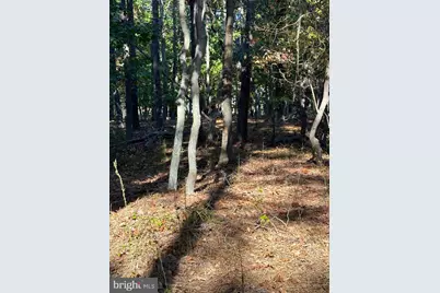 0 Black Horse Pike, Monroe Township, NJ 08094 - Photo 4