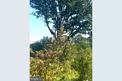 2954 S Black Horse Pike, Monroe Township, NJ 08094 - Photo 4