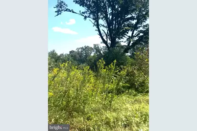 2954 S Black Horse Pike, Monroe Township, NJ 08094 - Photo 6