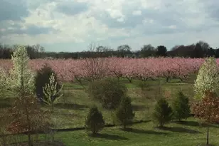 111 Weatherby Ln, Glassboro, NJ 08028 - Photo 38