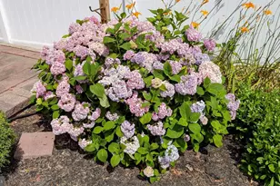 103 N Brentwood Ave, Pitman, NJ 08071 - Photo 10