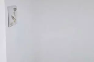 1819 County House Rd, Woodbury, NJ 08096 - Photo 104