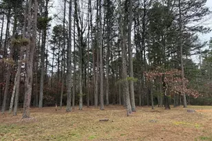 4643 Jackson Rd, Monroe Township, NJ 08094 - Photo 66