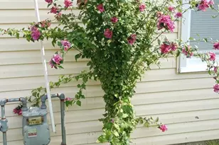 252 N Dennis Dr, Clayton, NJ 08312 - Photo 24