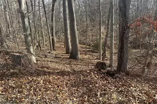 8 Mt Calvary Ln, Harrison Township, NJ 08062 - Photo 6