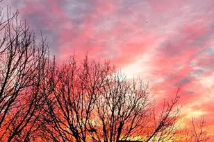 808 Derius Dr, East Greenwich Township, NJ 08056 - Photo 68