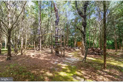 260 Harris Avenue, Newfield, NJ 08344 - Photo 38