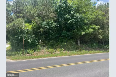 0 Pennsylvania Avenue, Franklin Township, NJ 08322 - Photo 2