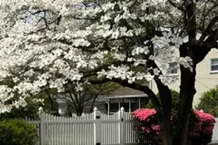 283 Dubois Ave, West Deptford, NJ 08096 - Photo 26