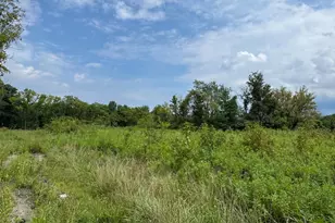 L22 Monroeville Swedesboro Rd (Rt 694), Swedesboro, NJ 08085 - Photo 1