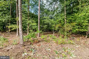 1630 Magnolia Ave, Monroe Township, NJ 08094 - Photo 48