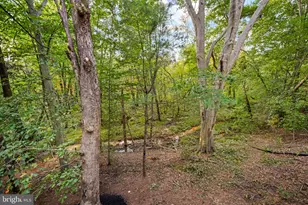 231 Porches Mill Rd, Swedesboro, NJ 08085 - Photo 56