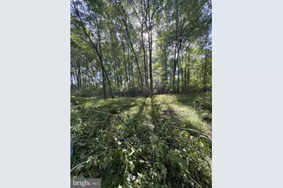 465 Tomlin Station Road, Harrison Township, NJ 08062 - Photo 2