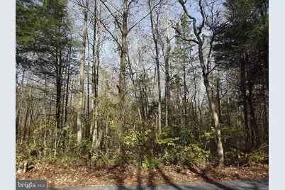 0 Yorketown Road, Alloway, NJ 08001 - Photo 6
