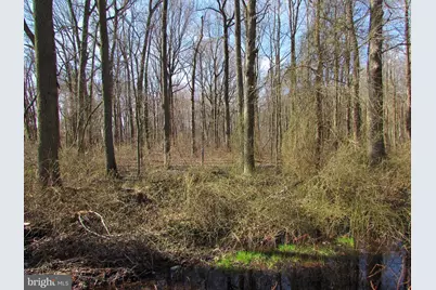 505 S Pennsville Auburn Road, Carneys Point, NJ 08069 - Photo 2