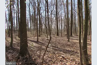 505 S Pennsville Auburn Road, Carneys Point, NJ 08069 - Photo 6