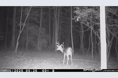 150 Penns Grove Auburn Road, Carneys Point, NJ 08069 - Photo 14