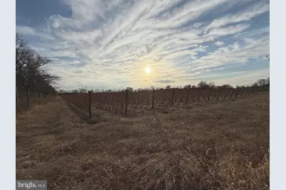 812 Garden Road, Elmer, NJ 08318 - Photo 4