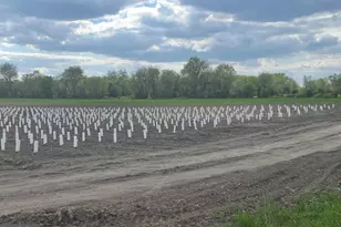 812 Garden Rd, Elmer, NJ 08318 - Photo 8