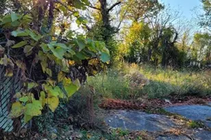 39 Cumberland Ave, Penns Grove, NJ 08069 - Photo 1