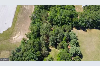 329 Harding Highway, Pittsgrove, NJ 08318 - Photo 4