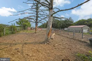 54 Three Bridge Rd, Monroeville, NJ 08343 - Photo 12